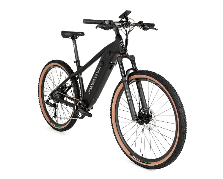 Hidden Battery Mountain Electric Bicycle 350W 500W Ebike