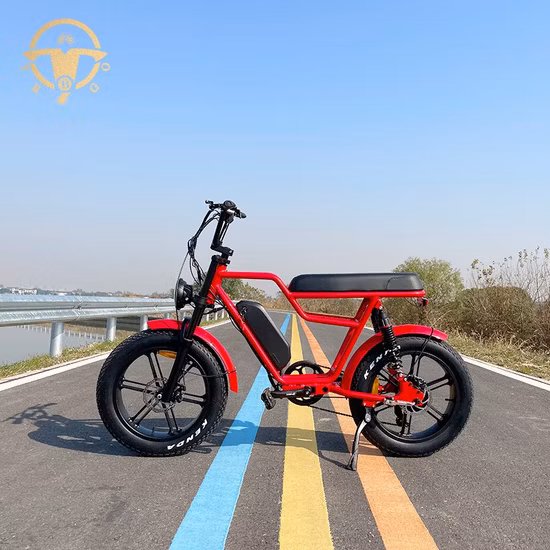 VTT gros pneu 26*4.0 350W*2 moteurs à double moyeu vélo électrique