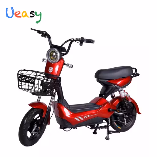Offre spéciale personnes âgées 500W 60V quatre 4 roues deux places gros pneu mobilité électrique Scooters Cargo vélo électrique