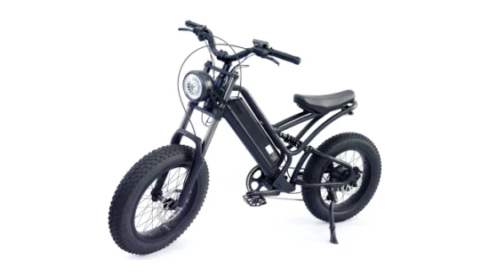 20*4.0 Fat Tire Male Mountain and Commuting Cadre en aluminium Vélo électrique E-Bicycle Ebike