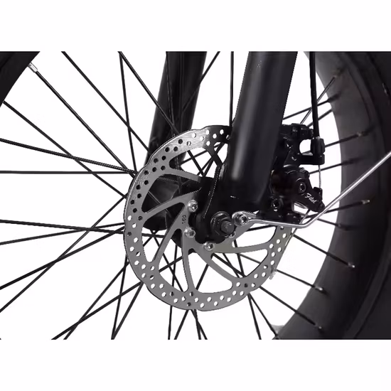 Vélo électrique de haute qualité 20 pouces à double moyeu 1000W moteur, 20 