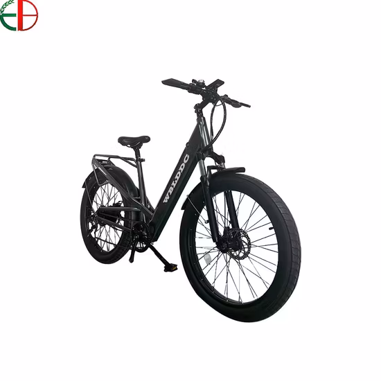 Vélo électrique de montagne 750W 52V Fat Tire Ebike 5% de réduction